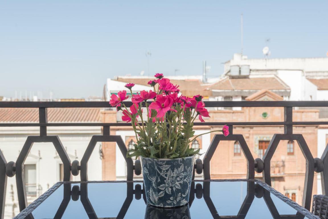 Behouse Avenida * Seville